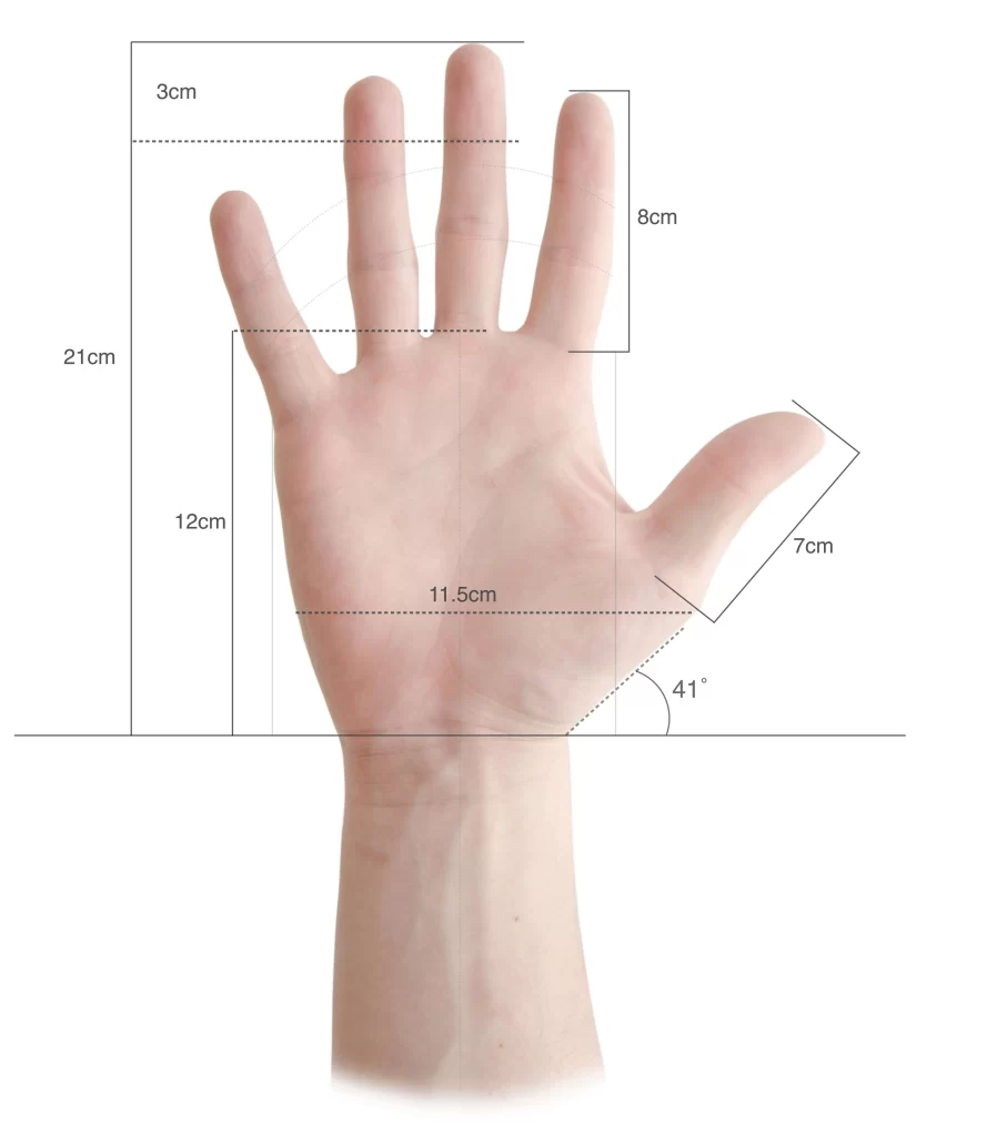 Hand Dimensions in cm