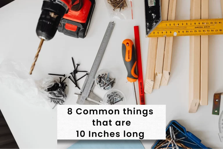 How long is 10 Inches compared to everyday objects?