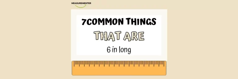 7 Common things that are 6 Inches long