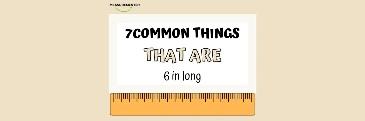 7 Common things that are 6 inches long