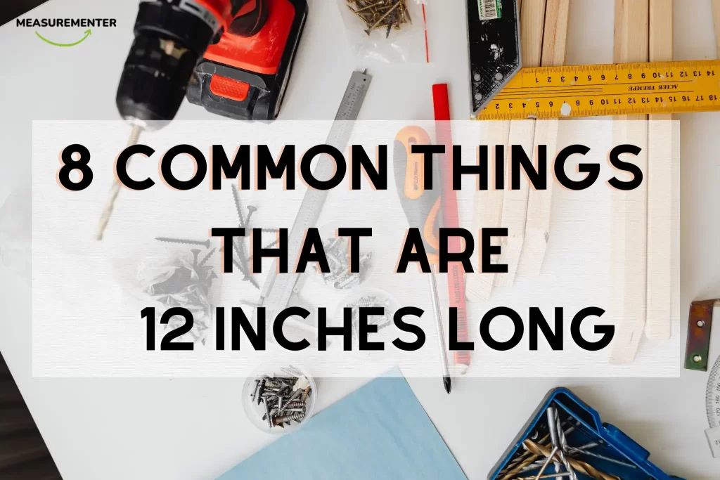 How Big Is 9 Inches Compared To Common Objects?