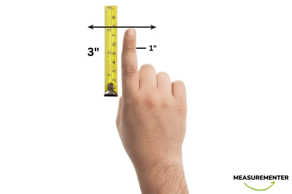 index finger length, distal phalanx length