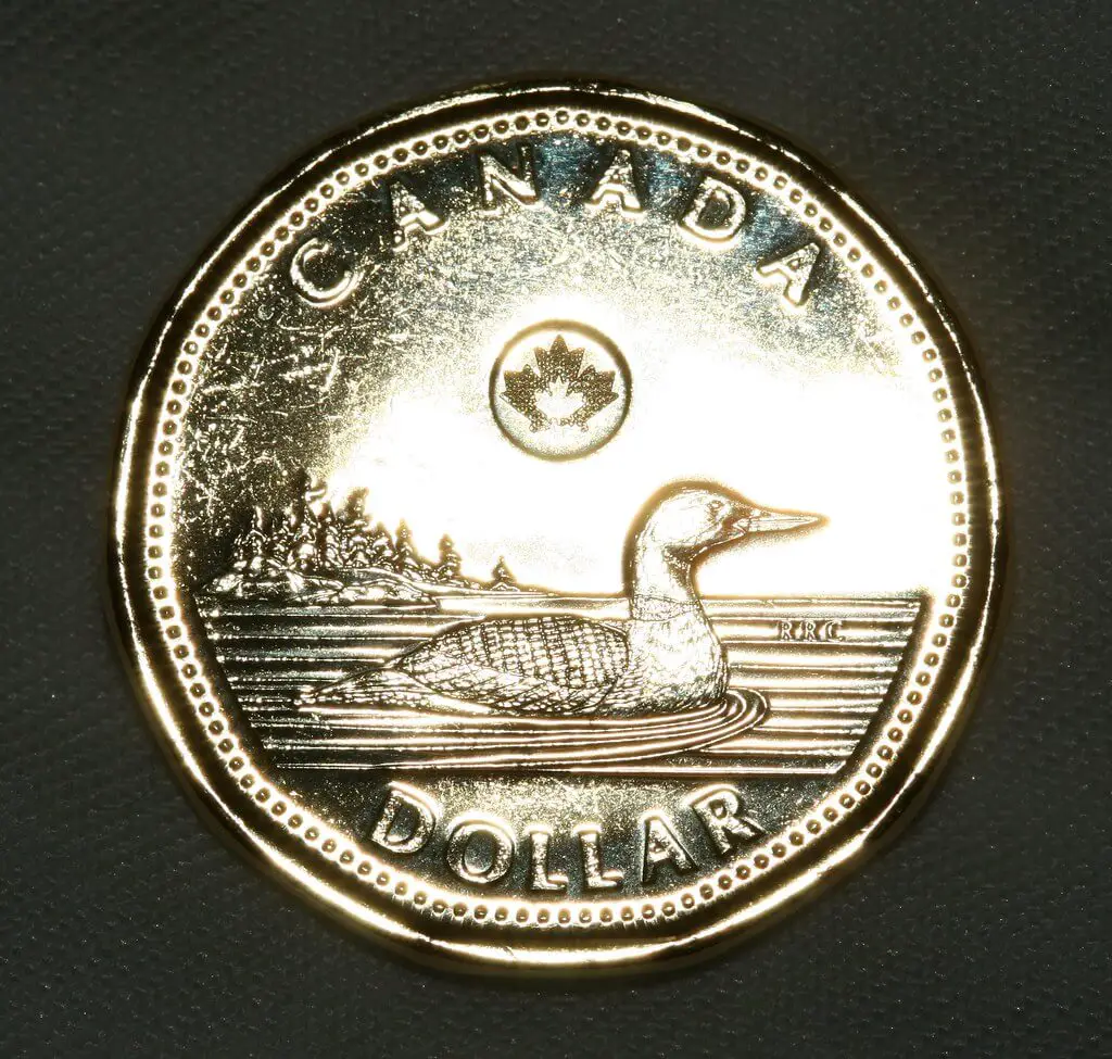 1 canadian dollar coin, loonie